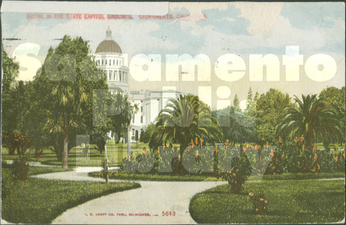 Scene in State Capitol Grounds, Sacramento, California