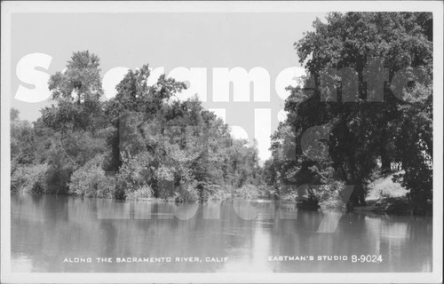 Along the Sacramento River, Calif. - Eastman's Studio B-9024
