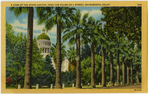 A View of the State Capitol Thru the Palms on L Street, Sacramento, California