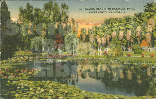 Scenic Beauty in McKinley Park - W.C. Spangler New Agency