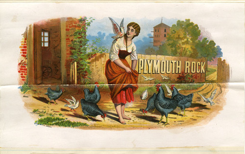 Old Series Trademark No. 1008