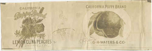 Old Series Trademark No. 3591