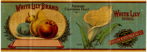 Old Series Trademark No. 2999