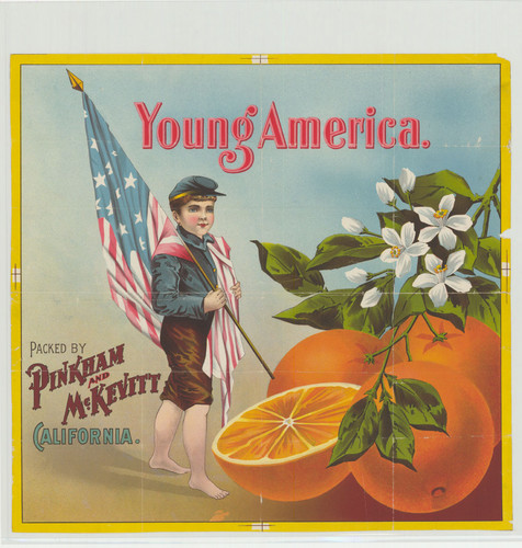 Old Series Trademark No. 3343