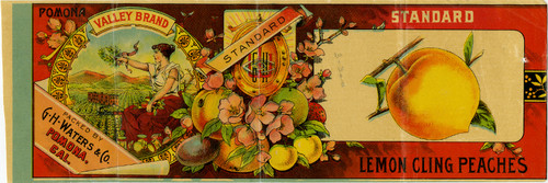 Old Series Trademark No. 3125