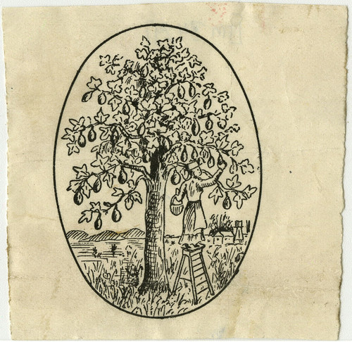 Old Series Trademark No. 3429