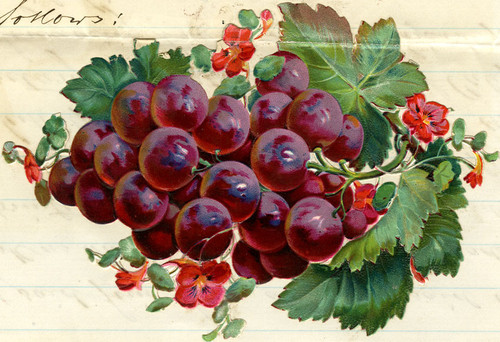 Old Series Trademark No. 0474