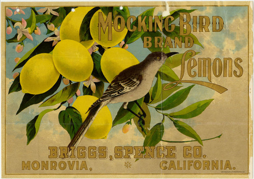 Old Series Trademark No. 3029