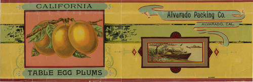 Old Series Trademark No. 3579