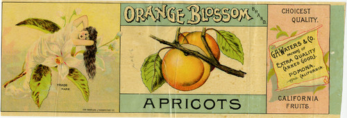 Old Series Trademark No. 3130