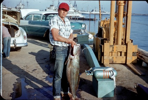 James Ronald Stewart holding a white seabass