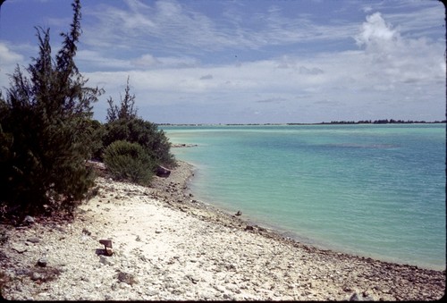 Wake Island [Beach]