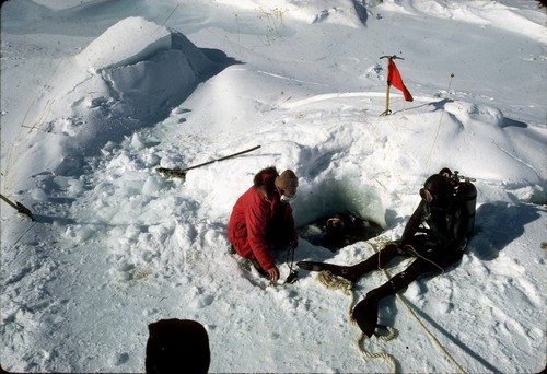 Divers coming out of a ice hole at Turtle Rock, near McMurdo Station, Ross Sea, Antarctica