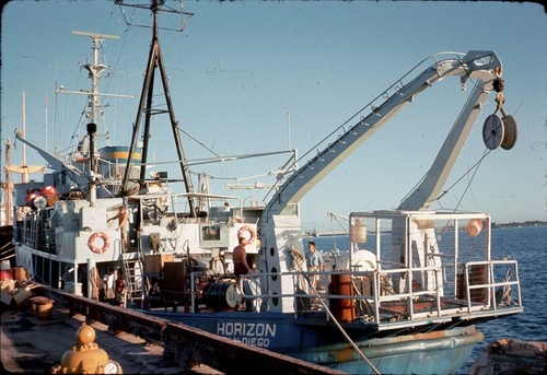 Shark Cage onboard Horizon in Guam