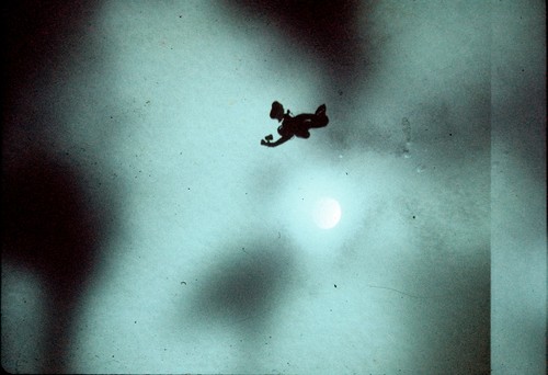 Diver midwater at 100 feet, below the diving hole through the sea ice. McMurdo Stations, Antarctica