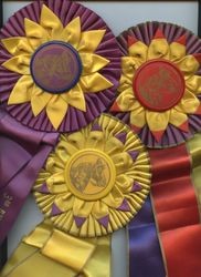 Horse Show Ribbons — Calisphere