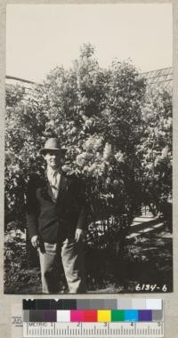 A fine specimen of purple lilac at McDuffie Ranch above Covelo, Mendcino County. 1937. Metcalf