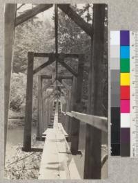 Suspension foot bridge over Yager Creek, near Carlotta, California. Span 140', deflection 9', suspending cable - 2, 1" old yarding cables used as one cable. See 1623-27. May 1921. E. F. 4.4