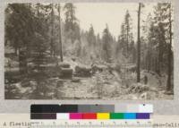 A fleeting glance of a logging train of the Michigan-California Lumber Company near Pino Grande, California, showing character of logs- short length and great size. This company in 1925 cut only Sugar and Yellow pine above 18" diameter at breast height. May, 1925