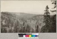 Penman Peak Lumber Company near Blairsden, California. View showing portion of a hill logged by tractors (see also #3622 and 3623). Aug. 1925, E.F