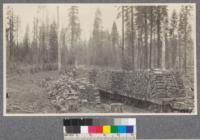 Donkey fuel made from otherwise unmerchantable trees loaded on cars. McCloud River Lumber Company, California