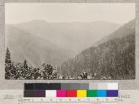 View into Bear Creek Valley from point on trail close to intersection with mine supply chute trail. July 1922