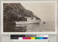 Cobra [boat] at Frys Harbor. June 1931. Picture by Pemberton, Los Angeles County Forestry Department