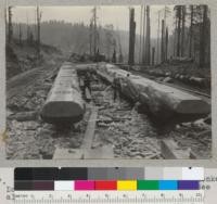 Runners for sled for heavy slack line donkey. Dolbeer and Carson Lumber Company. 1937. See also 6396-8. Took 2 men 20 days to build. E. F. 5-37