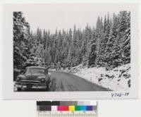 The blue Pontiac 8 and new snow on Englemann spruces west of Continental Divide in Colorado. Metcalf. October 1953