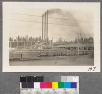 Red River Lumber Company, Westwood, California. General view of mill showing sorting chain at right and packages of lumber ready for kiln drying