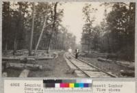 Logging operations of the Crossett Lumber Company, Crossett, Arkansas. View shows logs skidded by teams to the track for loading. The forest has been culled only of trees above 13 inches at the stump. The remainder are left and protected against fire. Standing on the track are Mr. A. E. Wackerman, Resident Forester for the Crossett Lumber Company, and R. C. Bryant, Consulting Forester for the Company. E. F. April, 1929