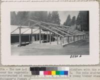 When this pole framework is covered with tarpaulins, the 40 x 60 ft. area is a very comfortable dining room for 200 campers. Stage is at the west end with the headquarters building beyond the flagpole in the far background. Whitaker's Forest, May 1950. W.M