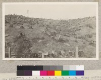 No. 159276 Forest Service, California Barrel Company, above Arcata. Land after cutting stand of douglas fir. Sitka spruce and hemlock burning slash and sowing grasses for pasture land