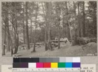 Meals at Las Posadas camp are served out of doors under the shade of large Douglas fir, oak and madrone trees which surround the camp. Metcalf. July, 1928