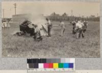 Boys using the back pumps and tank pumps to extinguish a fire at the demonstration at Vista, San Diego County, California. Metcalf. May, 1929