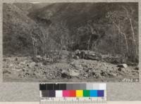 Large rocks and debris washed from a burned hillside near Hot Springs, Orange County. The fire was a very small one