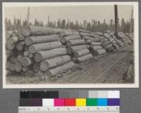 Red River Lumber Company, Westwood, California. Logs decked in woods for winter use