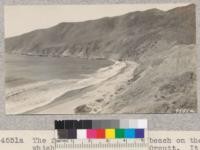 The first view of Point Sal beach on the road which comes in to it from Orcutt. It is a very good road and ends at a turn-around above the old boat landing show in the middle distance. Metcalf. November, 1928