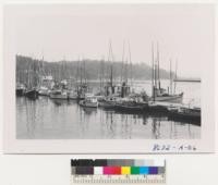 Fishing boats in the nice harbor at Newport, Oregon. Sitka spruce on hills in the background. Metcalf. September 1952