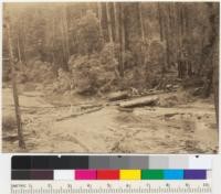 Redwood Region. Two RD-8 Caterpillar tractors hauling a large log to landing. Yager Creek. Pacific Lumber Company, Humboldt County, California. 5/22/42. E.F