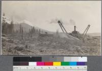 A 4 line Clyde Skidder at work about Camp 2 (Morrison). Weed Lumber Company, Weed, California. June, 1920. E.F