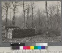 Cordwood operation near Dijon, France showing uncut coppice in backround