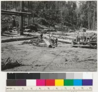 Redwood Region. Centralized peeling. Casper Lumber Company, landing at Camp 20. End of railroad. Trucks dump logs at this landing, bulldozer turns them for peelers and pushes them over bank for burning. See also 6999. 8-14-41. E. F