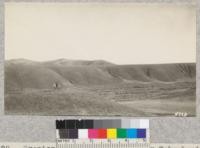 Erosion on Stookey Ranch near Tehachapi at 5000' elevation. This is just below the present timber belt. Metcalf. February, 1928