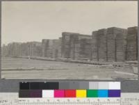 Rear ends of lumber piles, piled by gantry crane. Hammond Lumber Company, Samoa, California. May, 1920. E. F