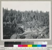 Redwood Region. 1 1/8 mile below Richardson Grove. View from Redwood Highway across South Fork Eel River, showing redwood trees standing askew because of land slide. Sept. 12, 1948. E.F