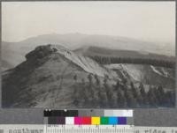 View southward along the top of the ridge in the Berkeley hills east of Richmond showing the easterly edge of the blue gum plantation, and the cut in the hillside made by the stone quarry. December, 1917. Metcalf