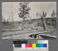 Car Bunks, Brooks-Scanlon Lumber Company, Bend, Oregon. Bruce. 4.3244