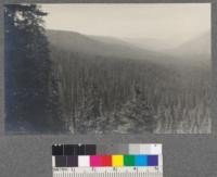 View north from falls at head of American Creek, Montana, showing the main portion of the watershed