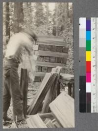 Splitting shakes, at Curry's tie camp #2. South Fork of Eel River. Humboldt County, California. Note bundled shakes piled up. May 1920. E.F